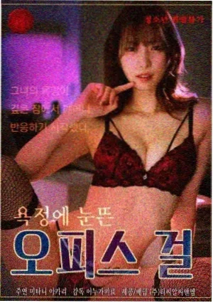 汉城旧梦 电视剧 2014 韩国